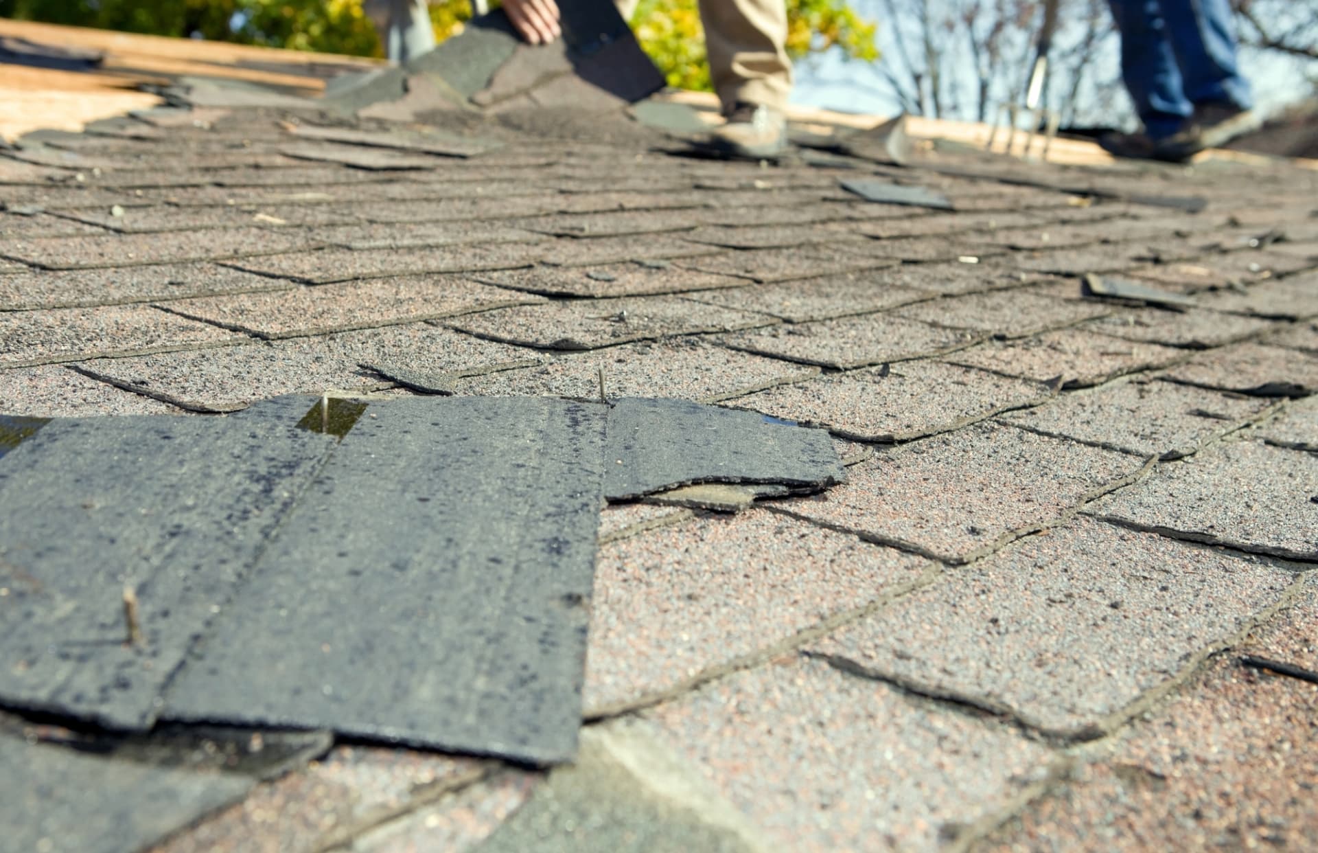 Worn asphalt shingles with a lifted, cracked tab and an exposed nail, and people standing on the roof in the background.